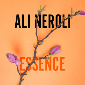 91丨推特丨白浆㊙️
